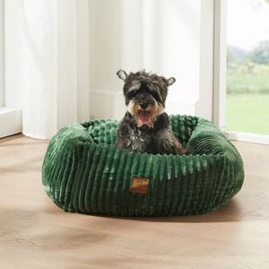 Charlie's Ascher Plush Corduroy Square Dog Bed Eden Green - Small