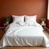 Royal Comfort Bamboo Blend Sheet Set 1000TC & Bamboo Pillows 2 Pack White Queen