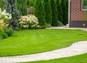 wide image of a green lawn