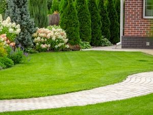 wide image of a green lawn