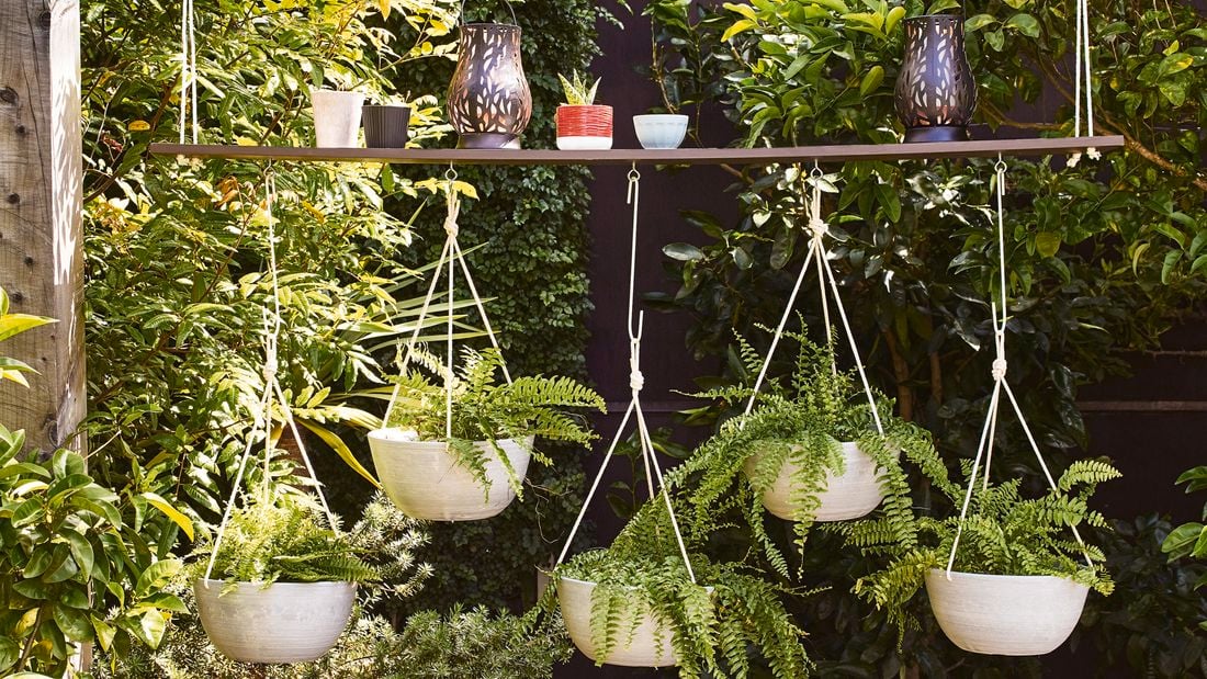 hanging pots in a garden