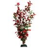 Aqua One Ecoscape X-large Hygro Red 40cm (28414)