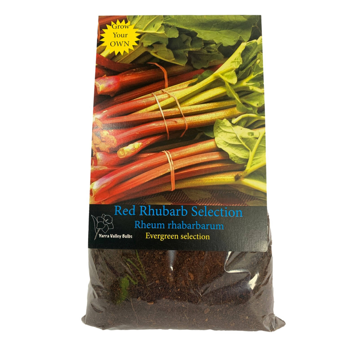 Yarra Valley Bulbs Rhubarb Ever Red - 1 Pack - Bunnings Australia