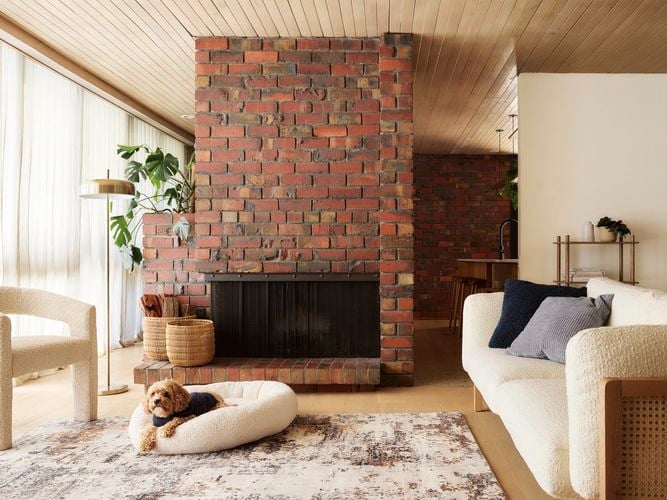 A furnished living room, with a dog in a dog bed, a couch, a rug on the floor, a fireplace and some plants in it.
