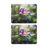 2x Ashdene Aus Small Birds Surface Protector Placemat Robin Animal Art