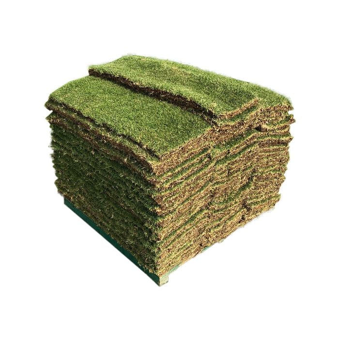 Sir Grange 40m² Pallet Turf