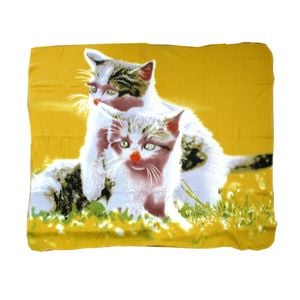Animal Print Multi Colour Polar Fleece Throw Rug 125 x 150 cm Two Kitty Cats