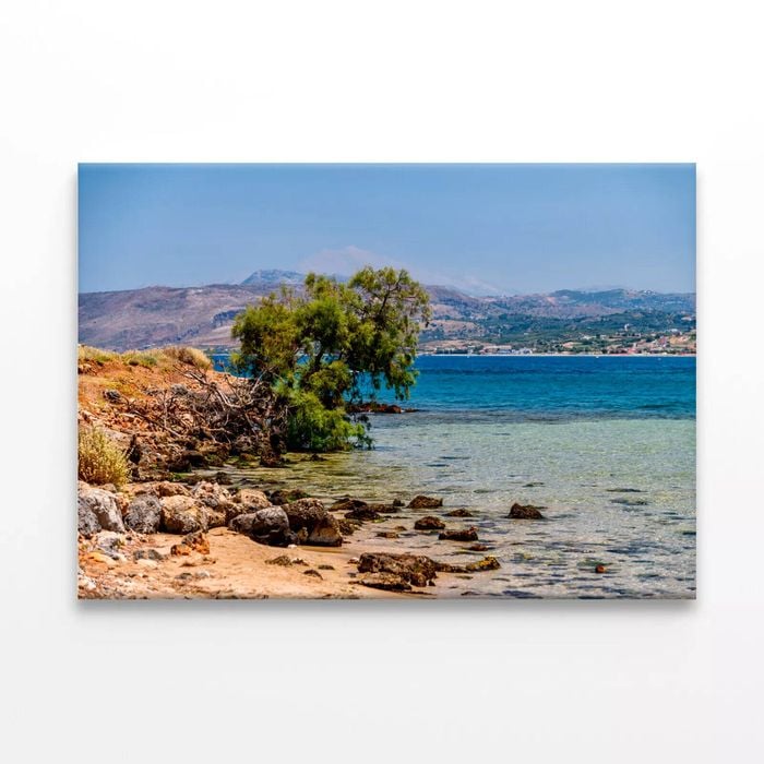 A Rocky Beach with a Tree   Print 100% Australian Made 120 x 90cm  (Stretched)