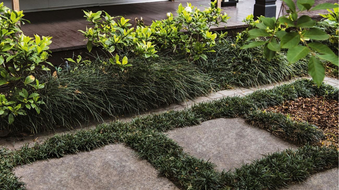 Stone pavers in a front garden.