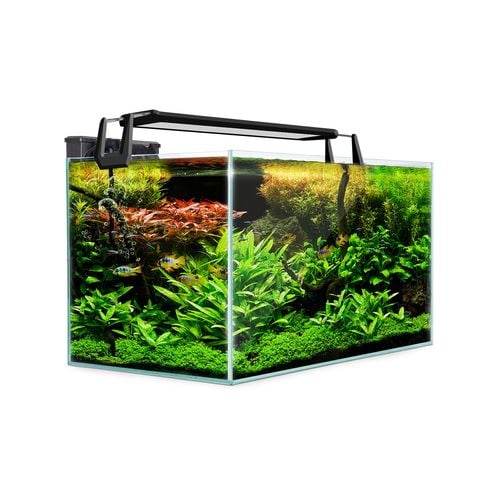 Afterpay aquarium supplies hotsell