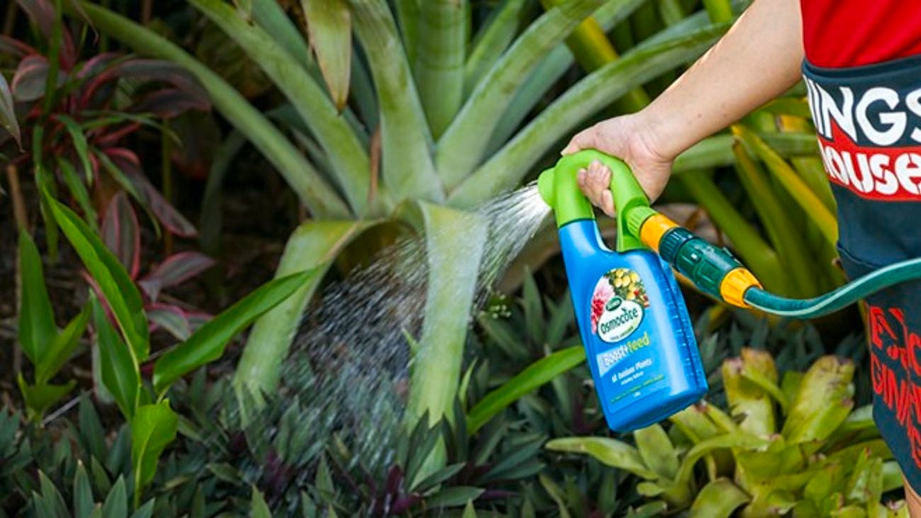 Person fertilising plant.