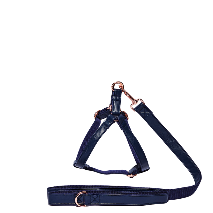 House Of Pets Delight Midnight Blue Step In Harness & Leash Set - Medium
