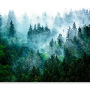Misty Mountain Landscape  Print 100% Australian Made 120 x 90cm  (Stretched)