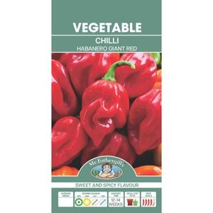 Mr Fothergill's Chilli Habanero Giant Red