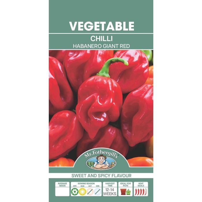 Mr Fothergill's Chilli Habanero Giant Red