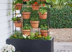 A vertical vegetable planter.
