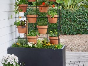 A vertical vegetable planter.