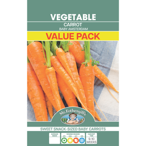 Mr Fothergill's Carrot - Baby Amsterdam Seeds