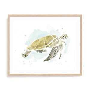 Artey | Watercolor Sea Turtle Study I - Framed Print - Natural Frame - 80 x 95cm