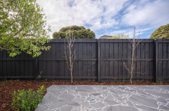 outdoor area with timber fence, trees and paved area