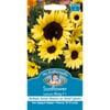 Mr Fothergill's Sunflower Lemon Bling F1 Flower Seed