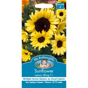 Mr Fothergill's Sunflower Lemon Bling F1 Flower Seed