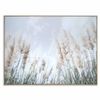 P&P Natural Wood Pampas Grass Canvas Wall Art Framed Decorative Picture