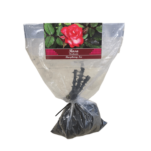 Bare Rooted Roses