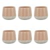 6PK Ecology Stoneware 270ml Hull Cuddle Coffee/Tea Mug 9x8.5cm - Rose