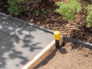 <p><span>A newly installed gray paver pathway with</span><span style="color: rgb(255, 0, 0); font-family: Calibri, Calibri_EmbeddedFont, Calibri_MSFontService, sans-serif; font-size: 11pt">&nbsp;</span></p>
