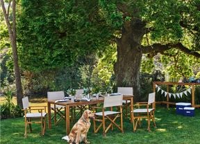 park land with large willow tree, with dining table and chairs.