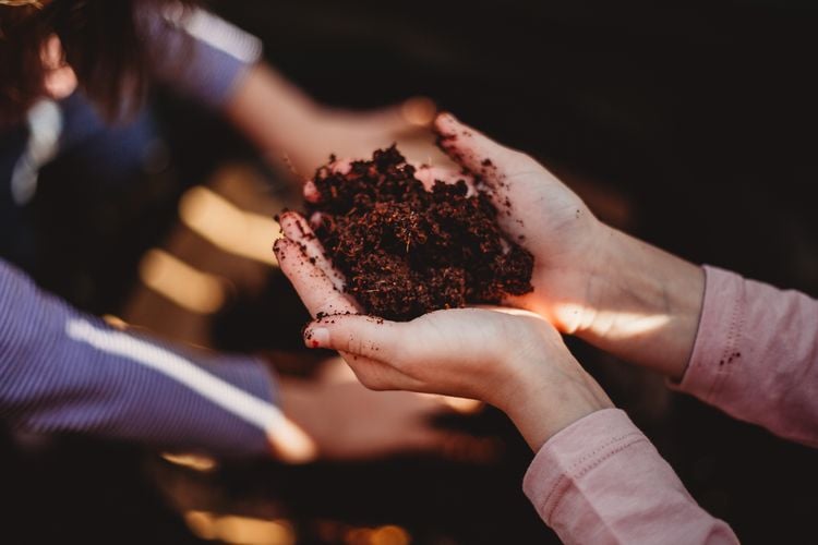 Cupped hands holding compost soil