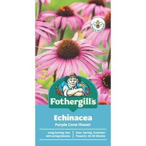 Fothergill's Echinacea Purple Cone Flower Seeds