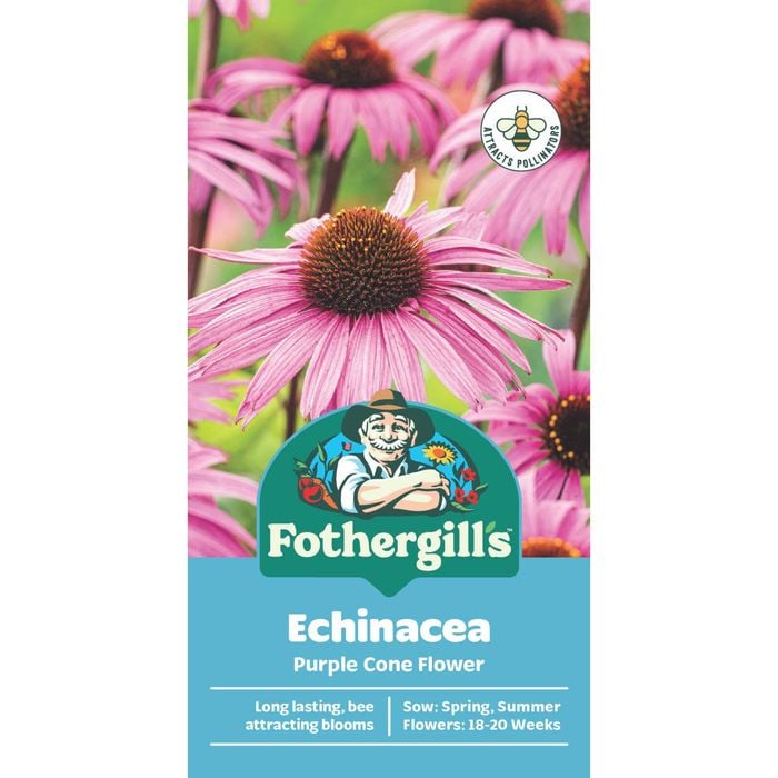 Fothergill's Echinacea Purple Cone Flower Seeds