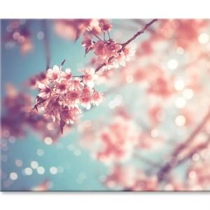 Close-Up Of Beautiful Vintage Sakura  Print 100% Australian Made 150 x 100cm  (Stretched)