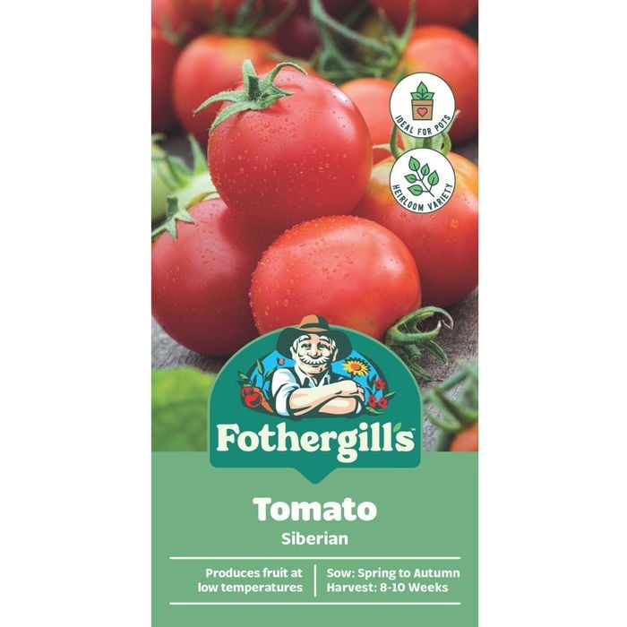 Fothergill's Tomato Siberian Seeds