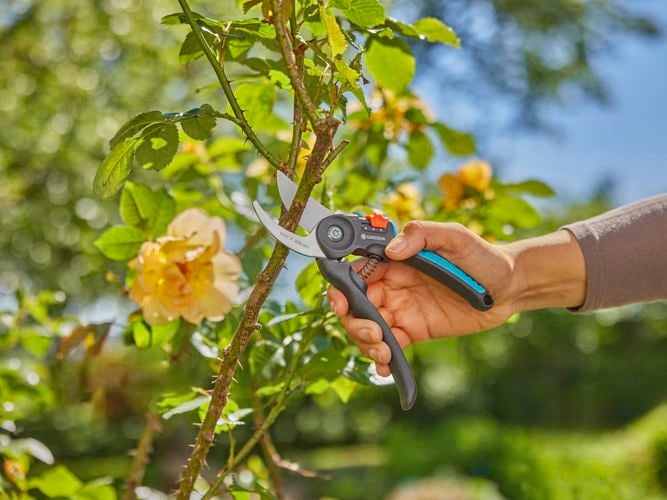 Brand page -  GARDENA PremiumCut Flex Secateurs