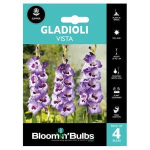 Bloomin' Bulbs Summer Aqua Gladioli Vista - 4 Pack