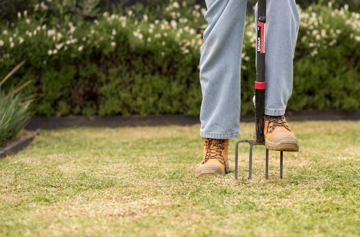 A person wearing work boots is using a garden fork to aerate a grassy lawn. 