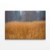 Dry Grass in the Forest in Cloudy  Print 100% Australian Made 150 x 100cm  (Stretched)