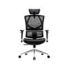 Sihoo M90D Ergnonomic Office Chair with Dynamic Lumbar Support (Black)