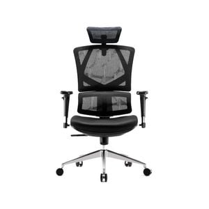 Sihoo M90D Ergnonomic Office Chair with Dynamic Lumbar Support (Black)