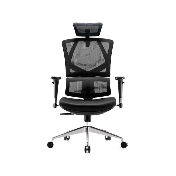Sihoo M90D Ergnonomic Office Chair with Dynamic Lumbar Support (Black)