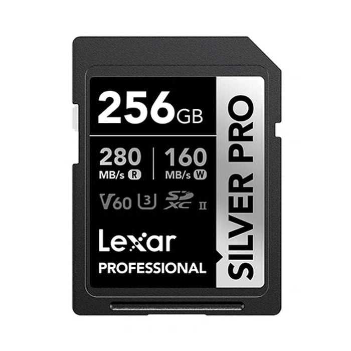 Lexar Professional Silver Pro