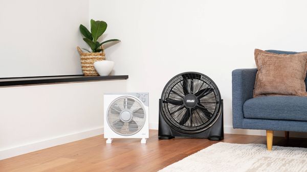 White box fan and black floor fan displayed side by side in a living room corner next to a blue sofa and potted plant.