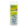 Zenith 10G x 25mm Zinc Plated Wood Screw - 30 Pack