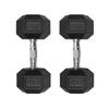 Premium Rubber Hex Dumbbell-15KG Pair