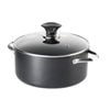 Universal Glass Cookware Lid 20cm Baccarat