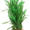 Aqua One Fontinalis W/Gravel Base Plastic Plant - Large (28211)