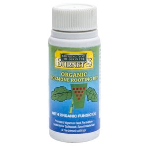 Burnet's 50g Rooting Hormone Dip